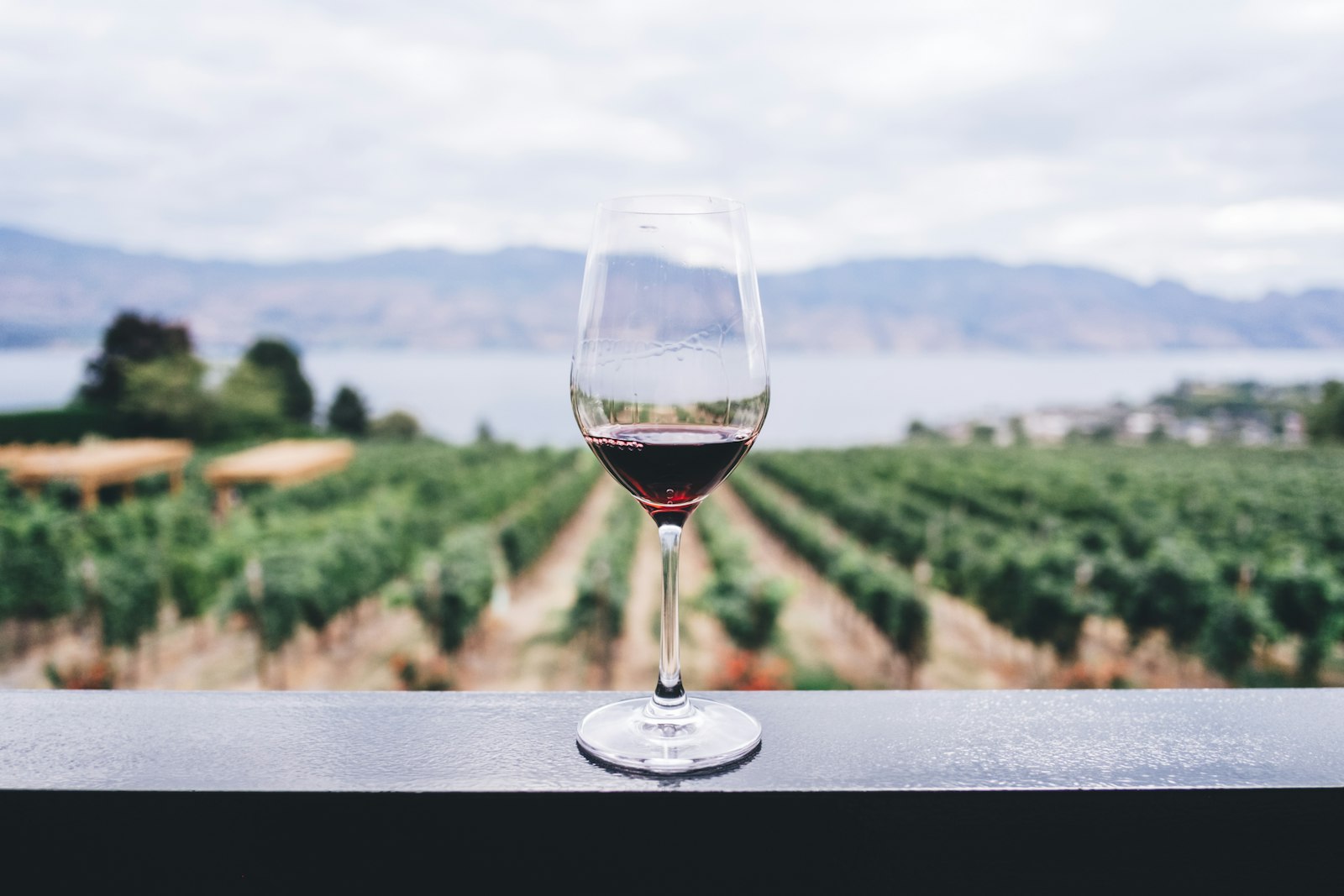 Weinglas mit Blick auf die Weinberge